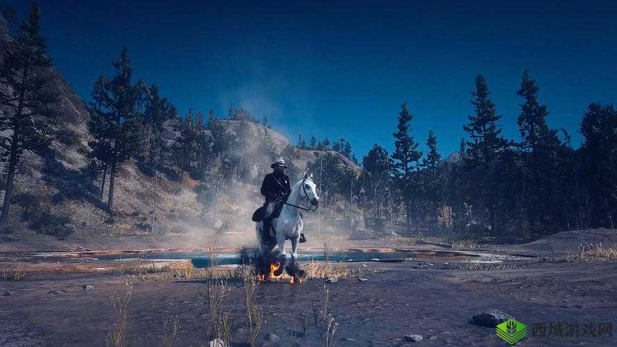 公园里的老年镖客视频人生:别样的暮年时光