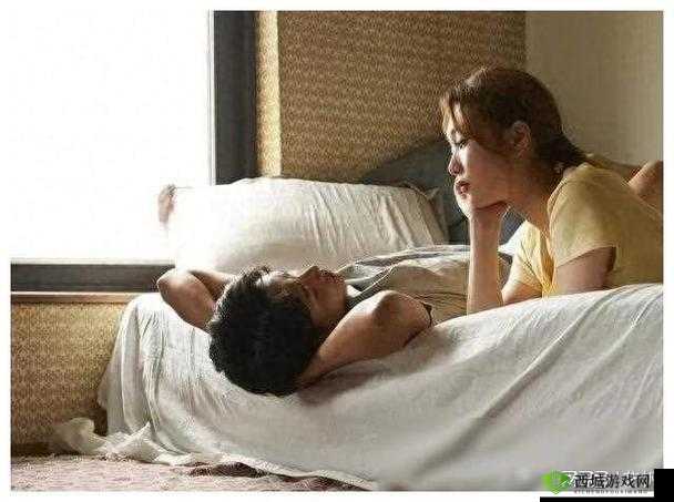 人马畜禽共性关系的重要性视频:揭示深层关联