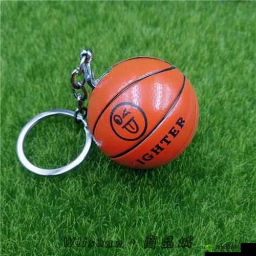 篮球队的公共玩具坐便器:奇特物品的存在