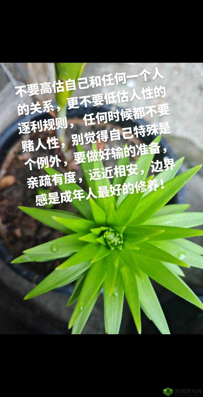 115 大但人文视频：探索人性与艺术的边界