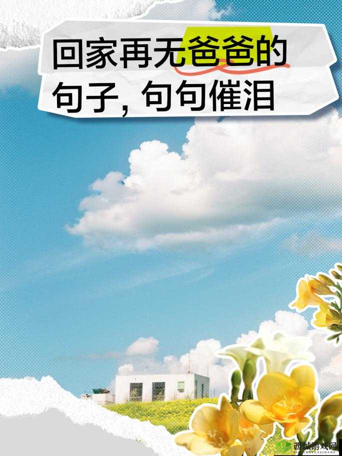 妈妈说今晚爸爸不回家:孩子听闻后的失落与期待