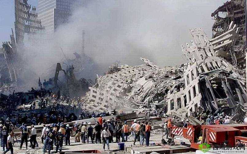 蝌蚪窝 911:探寻真相之路