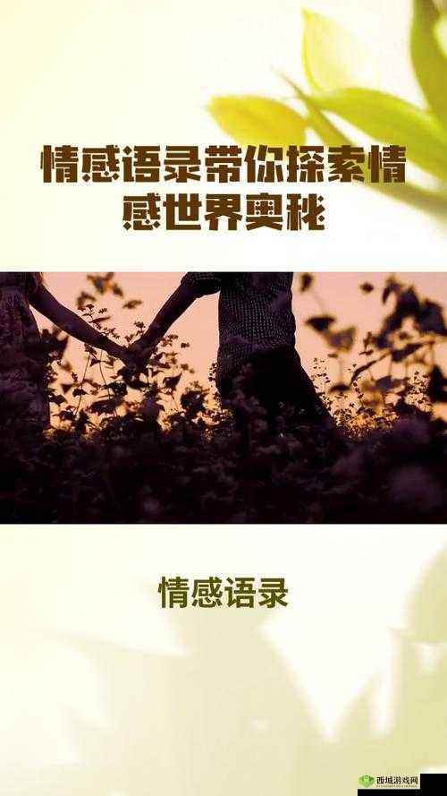 多少厘米可以让女孩子哭:探索背后的情感奥秘