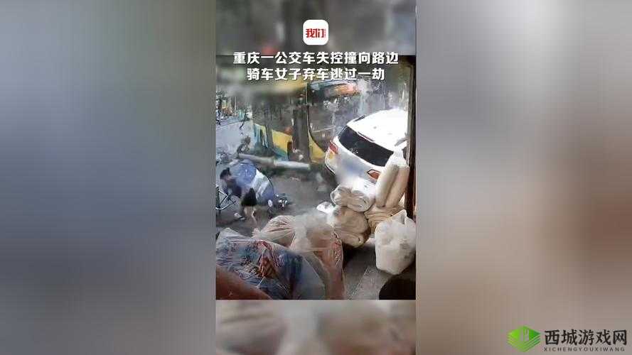 乱入公交车:一场令人意想不到的城市交通奇遇记
