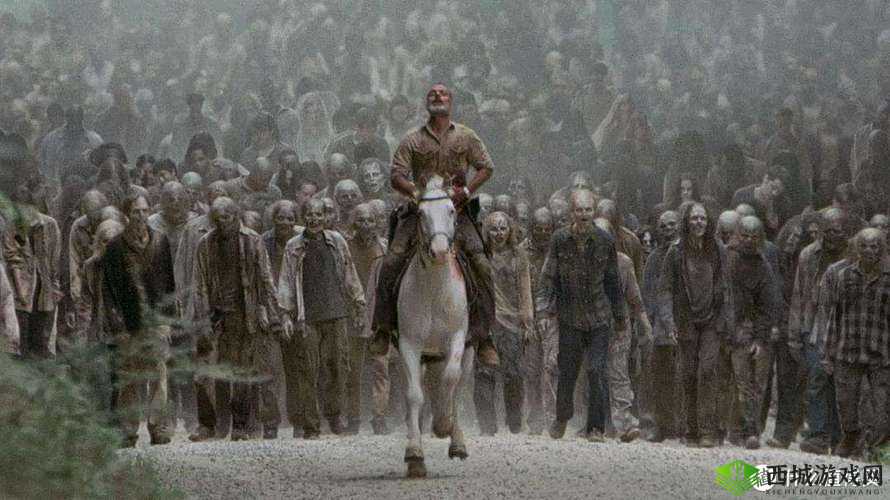 战争的艺术与人性的试炼，深入探索人间地狱