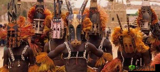 令人震惊的非洲人与性动交 ccoo:揭示背后的真相