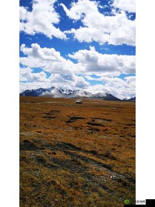 日本精品无人区卡 1 卡 2 视野:独特视角探秘之旅