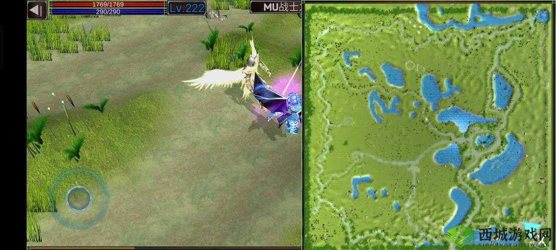 XZL 仙踪林网站免费入口欢迎您:优质内容与您共享