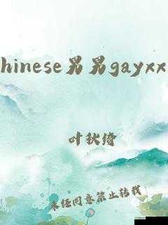 国产 Gay 又粗又大风男系列:糙汉的别样魅力