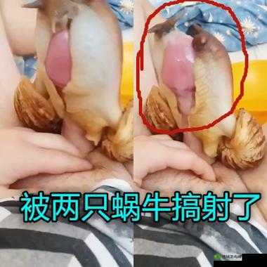 17c.com 黑料吃瓜：深度揭秘背后不为人知的故事