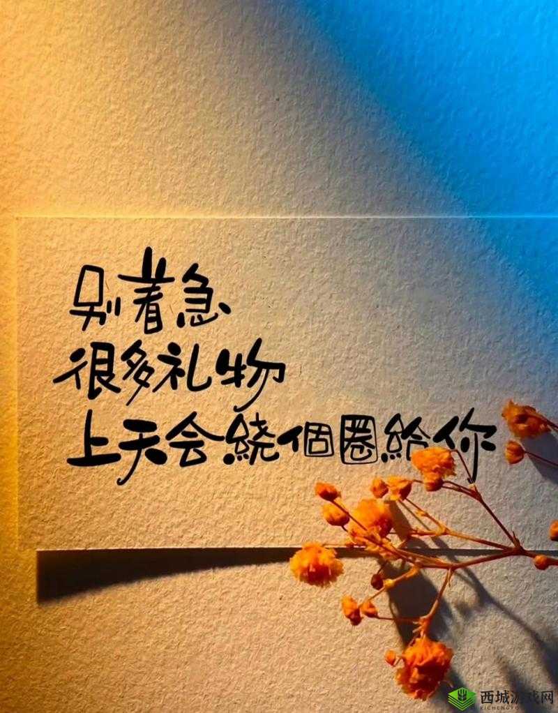 黑料正能量不肾虚:积极向上充满活力勇往直前创造美好未来