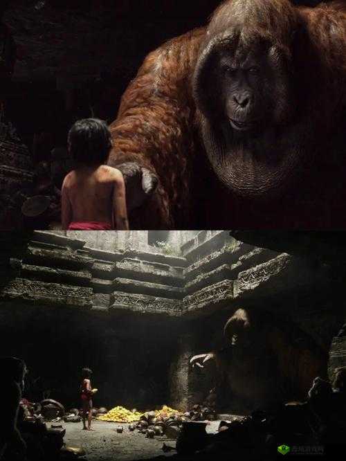 日本 69HD：探索成人领域的奇妙世界