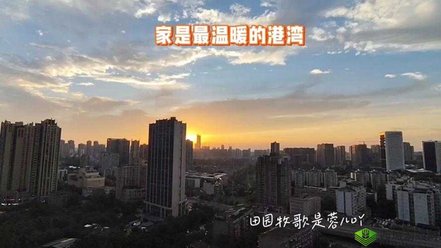 y1uan 大家庭的魅力：充满温馨与欢乐的温暖港湾