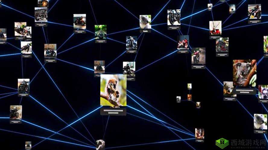 探索 HJ54C1 海角论坛:揭示未知的网络世界