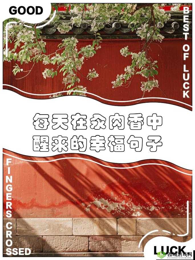 每天都在汆肉中醒来酱酱：这是怎样一种独特体验呢