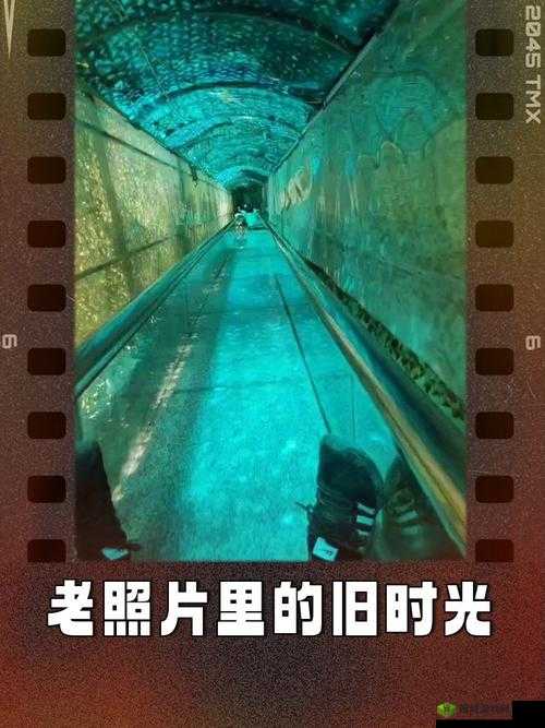 经典 97 视频：重温那段独特的影像时光