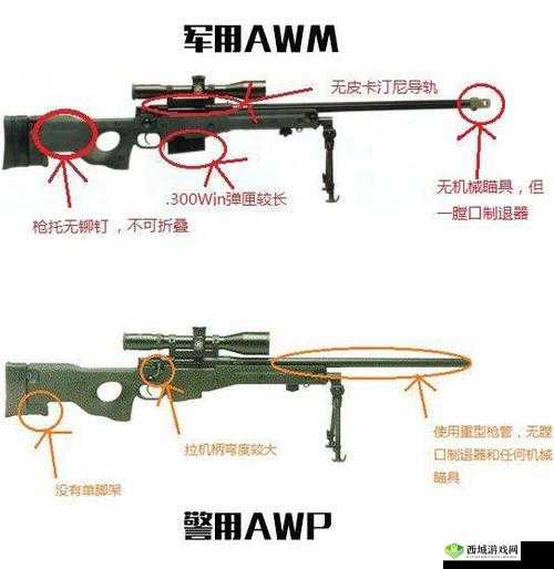 CSGO 大姐姐 AWP 多少钱:其价格波动与市场影响因素