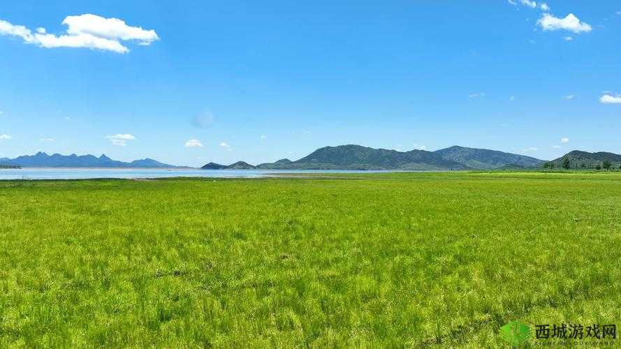 天堂草原电视剧在线观看图片高清:感受草原魅力,畅享视觉盛宴