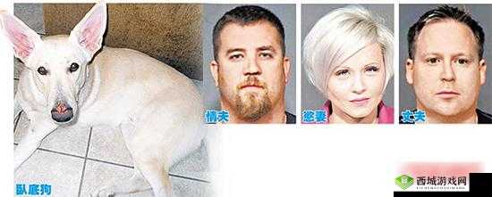 欧美兽交少妇 XXX:禁忌与欲望的交织