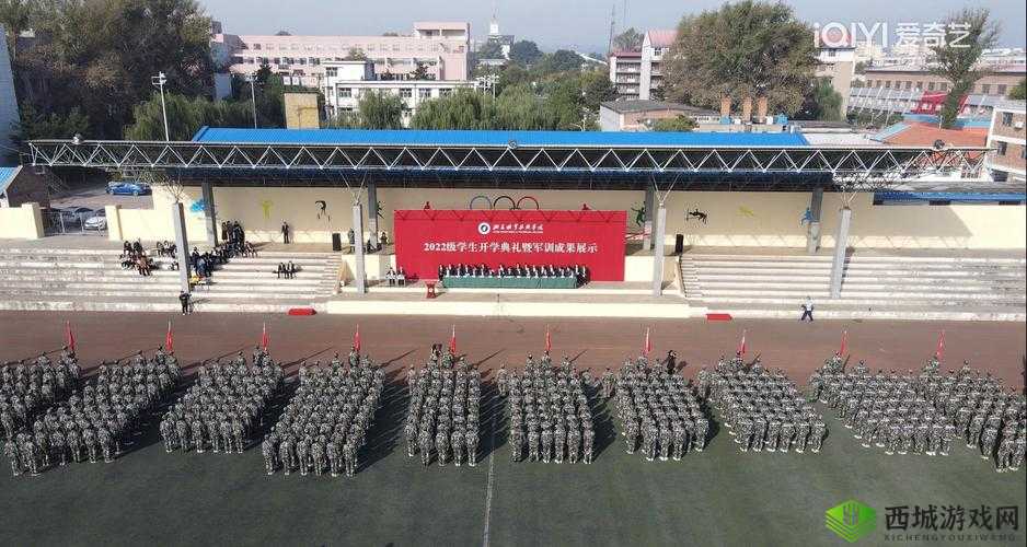 仙踪林贰佰信息网：一个充满神秘色彩与丰富内容的地方