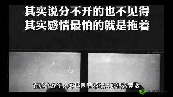 在xxxxxxxx成年人的世界里,他们用行动书写着属于自己的故事