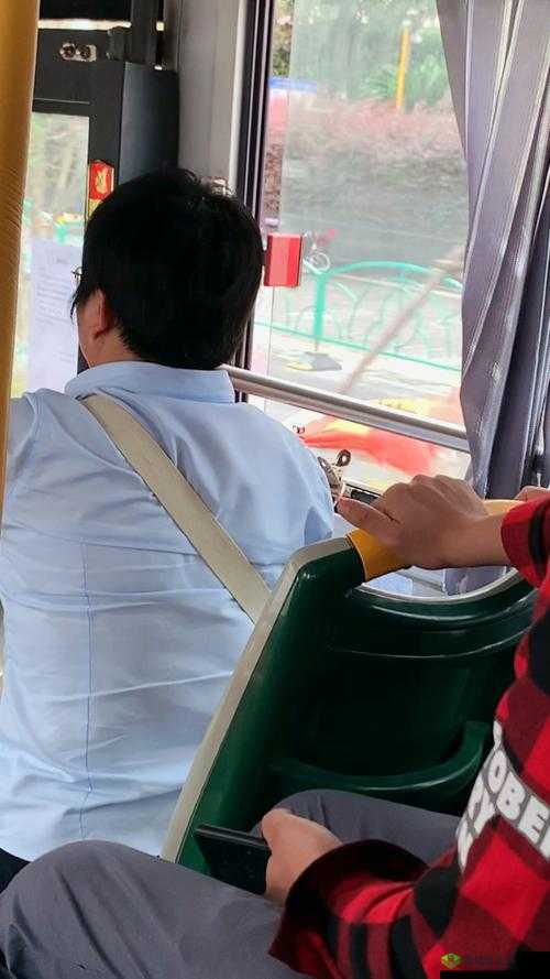 公交车售票员按尺寸大小:探寻背后的服务标准与规范