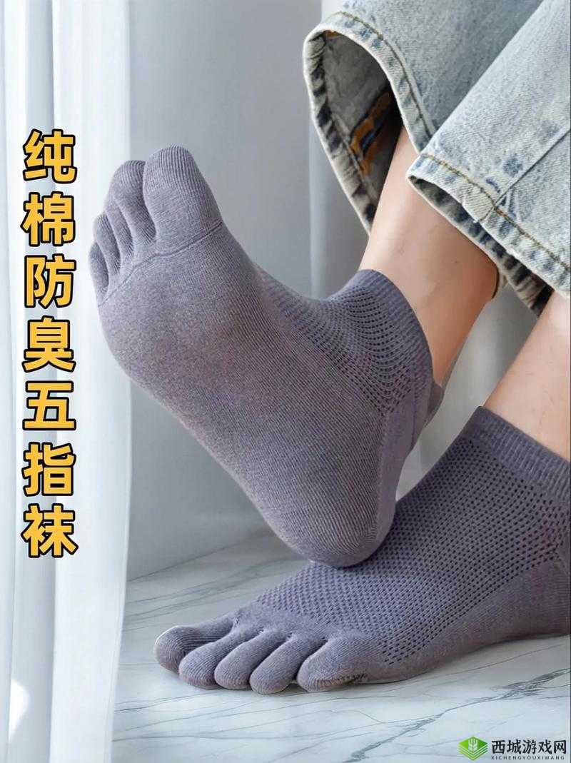 五指棉袜多少钱一双:探究其价格背后的影响因素