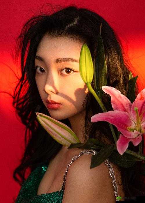 GOGOGO 免费高清在线,精彩不断,畅享不停