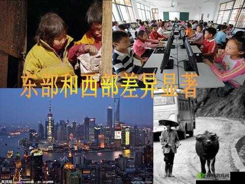 国精产品一二三区区别在哪:深入探究其各自特点与差异