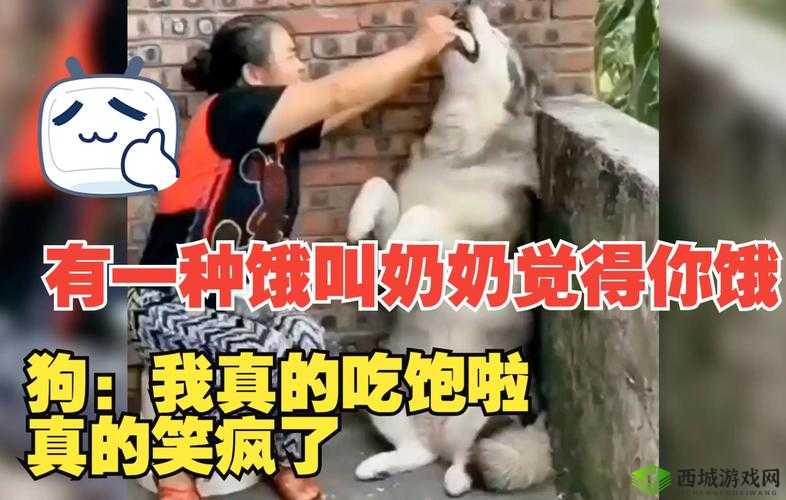 饿了吗本王霸气宣告：这就喂饱你啦