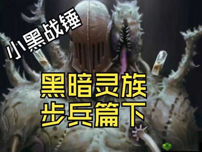 精灵被改造成产子工具：一段令人震惊的奇幻黑暗史