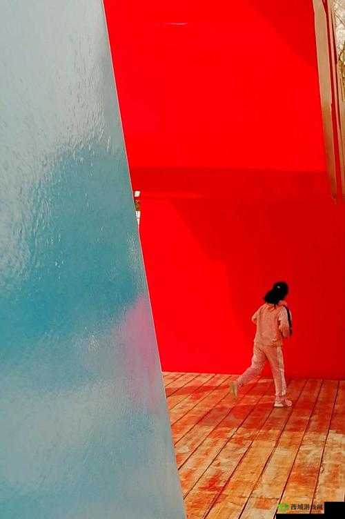 俄罗斯老太特黄大片:独特视角下的别样呈现