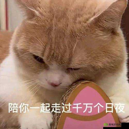 跟你在一起的感觉真是好大好爽,我还想继续跟你做