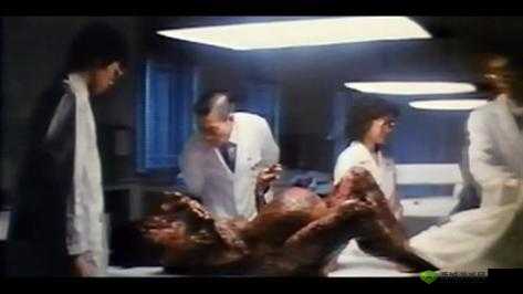 免费一级无码婬片 A 片毛片解说:释放激情,释放自我