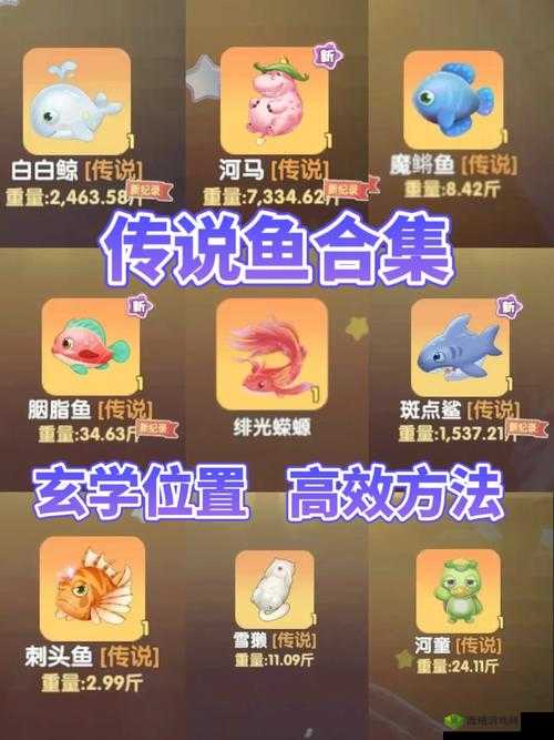 摩尔庄园手游钓鱼位置玩法攻略，解锁你的钓鱼大师之路