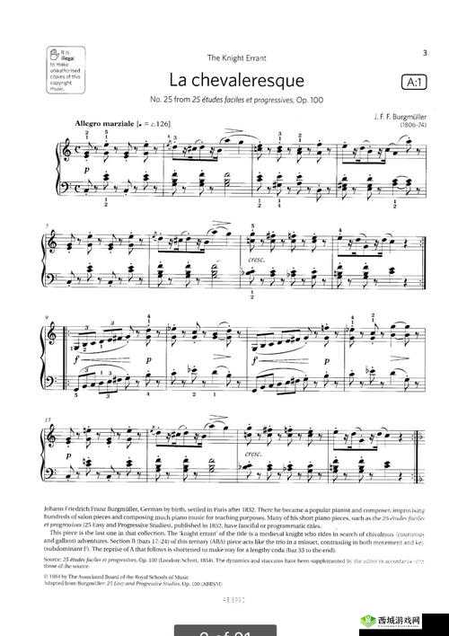 独奏骑士，探索与挑战的旋律