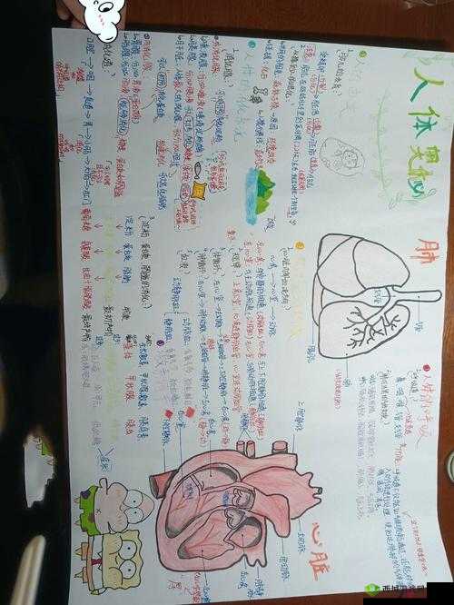 小说:大爷是在帮你排毒:探索人体奥秘的离奇故事