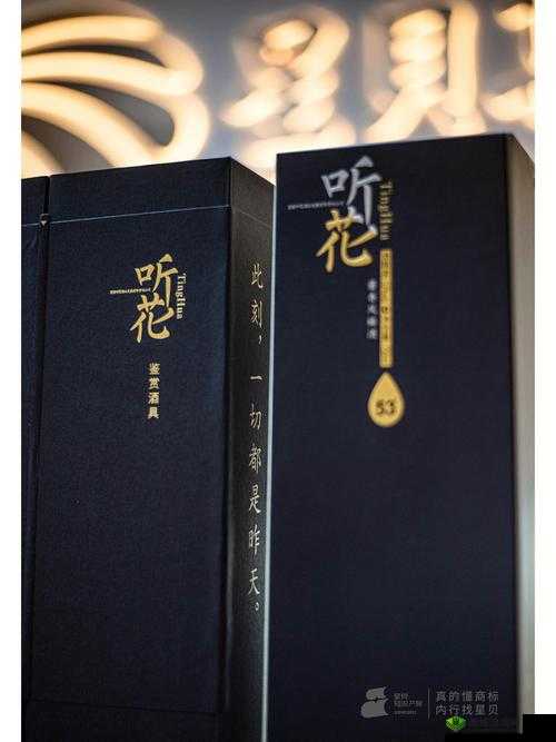 黑珍珠米斯特:探寻其神秘魅力与非凡价值的历程