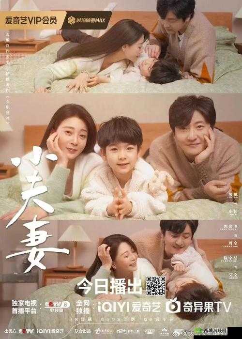 适合夫妻俩一起看人的电视剧之共同品味温馨情感故事