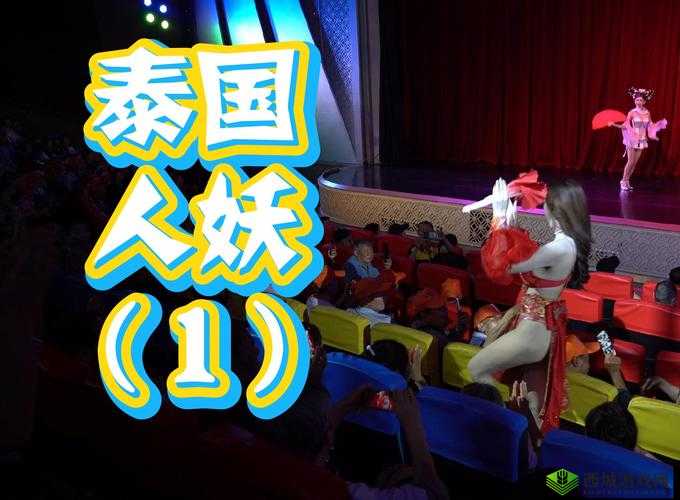 人妖 xxhxxa:泰国变性人的生存现状与挑战