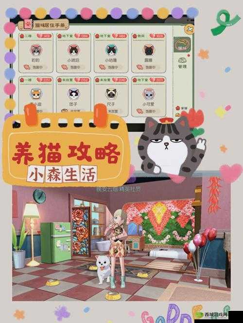 小森生活猫粮制作介绍