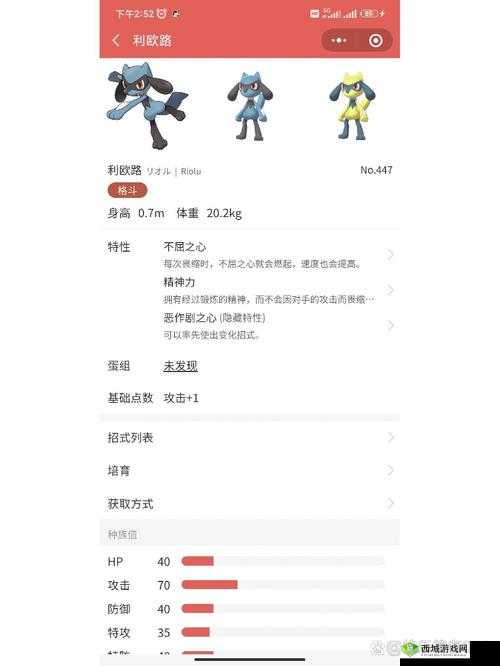 宝可梦大探险,小海狮进化之路与技能宾果全攻略