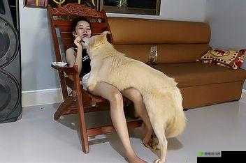 欧美牲交的 A 面与 B 面:探索异国性爱文化