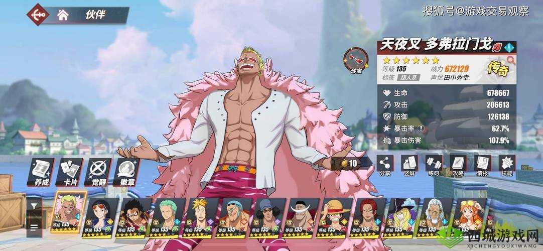 航海王热血航线，挑战与策略并存的冒险之旅