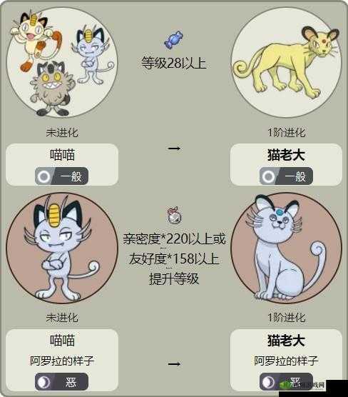 宝可梦大探险剑山原野猫老大打法攻略