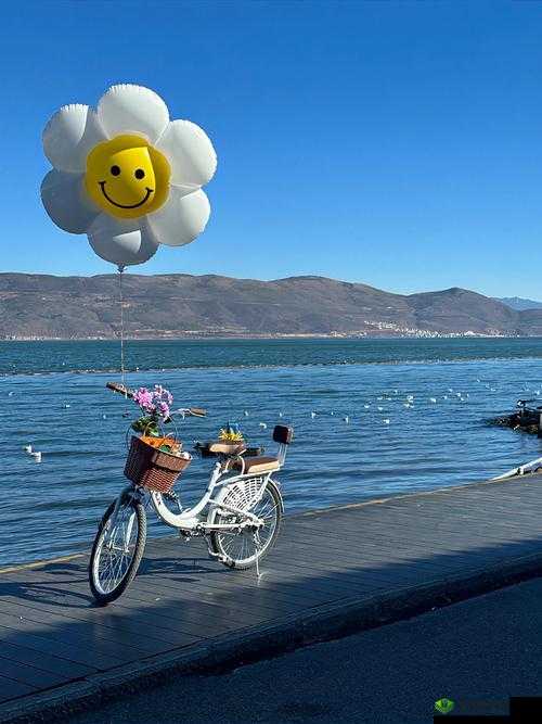 春日绮梦,探索关键词背后的温柔世界