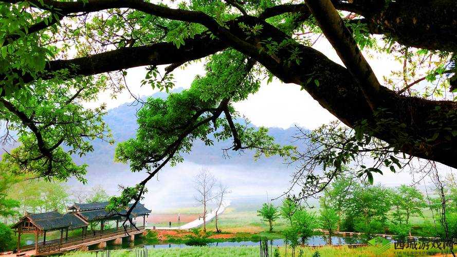 三七大但人文艺术免费视频:畅享艺术之美无界限