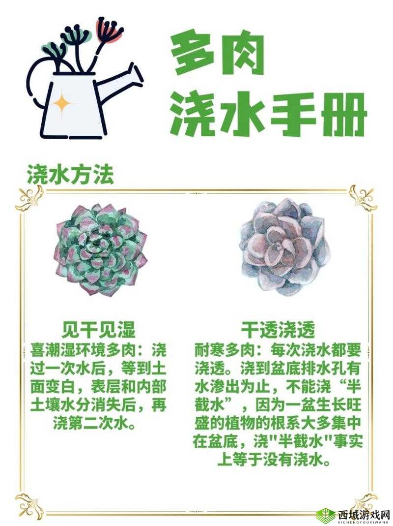 皇家共享小公主多肉养护方法:温度、光照、浇水、土壤、繁殖与病虫害防治全解析