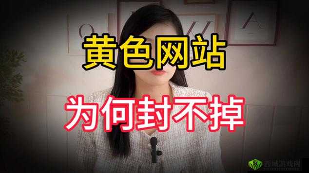成年人黄色视频网站:探索无尽私密之域