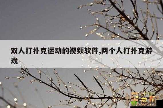 免费扑克视频大全软件下载:海量精彩视频等你来享